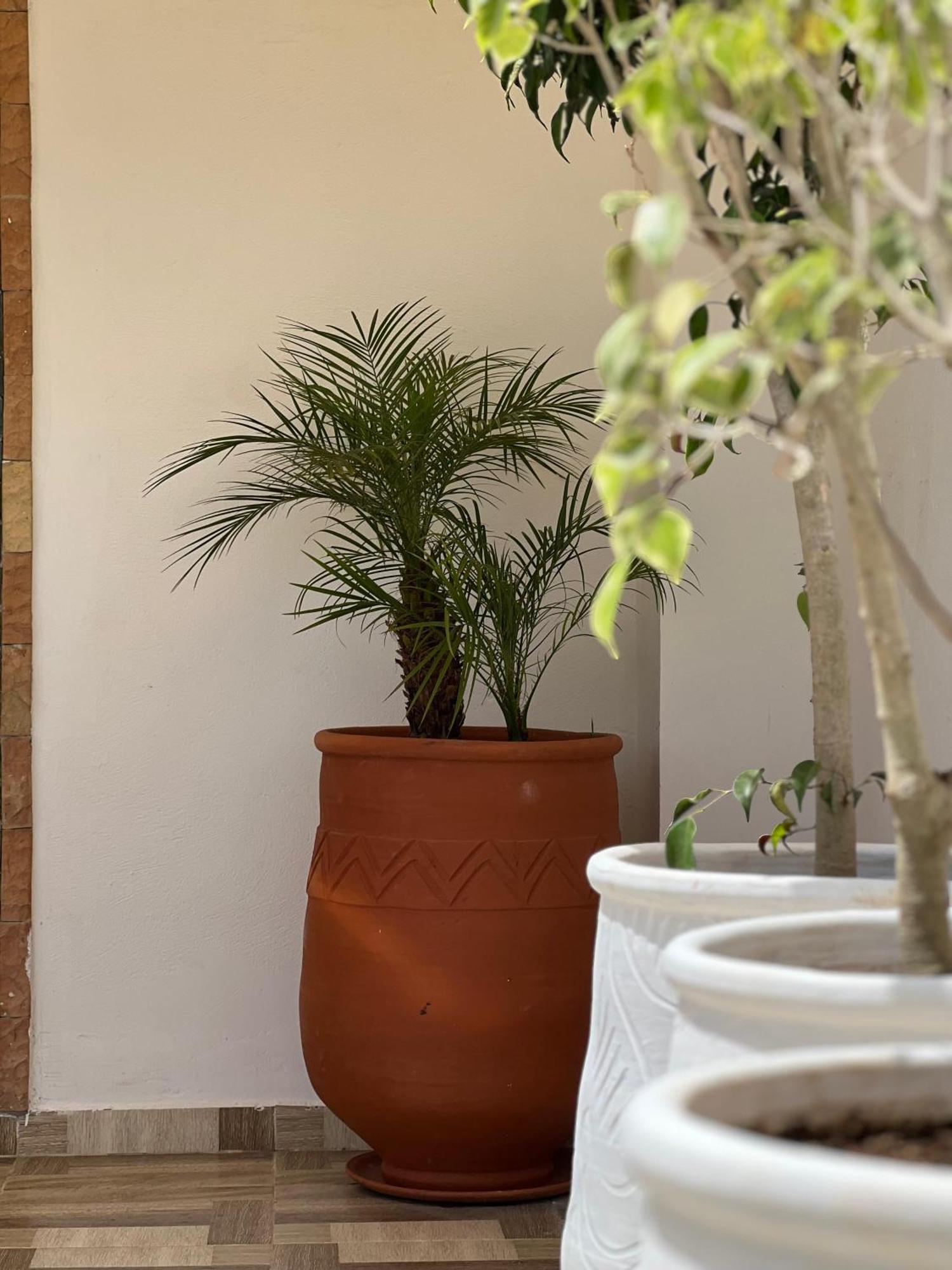 Riad Safia Rabat Esterno foto